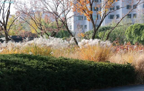 启皓大厦周边环境