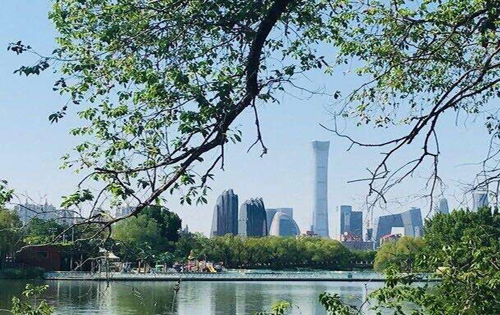 上半年商场写字楼租金最抗压